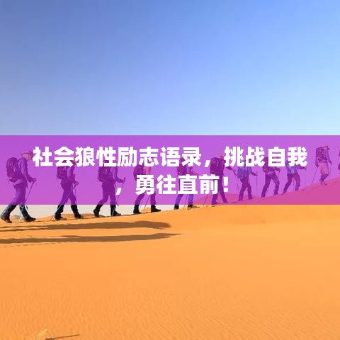 社会狼性励志语录，挑战自我，勇往直前！
