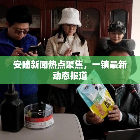 安陆新闻热点聚焦，一镇最新动态报道