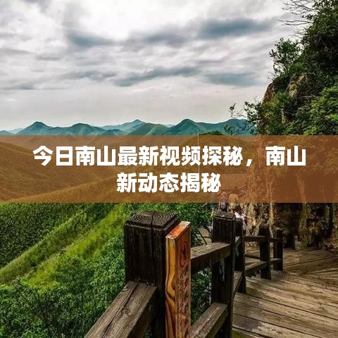 今日南山最新视频探秘，南山新动态揭秘