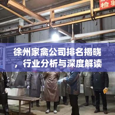 徐州家禽公司排名揭晓，行业分析与深度解读