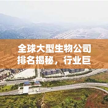 全球大型生物公司排名揭秘，行业巨头一览无余