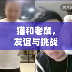 猫和老鼠，友谊与挑战的不解之缘