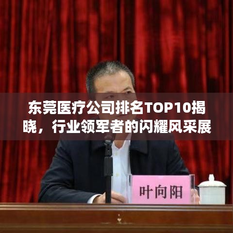 东莞医疗公司排名TOP10揭晓，行业领军者的闪耀风采展现！