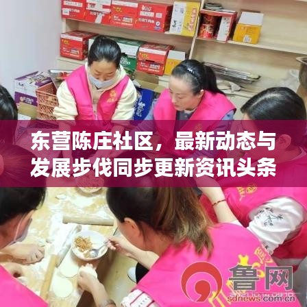 东营陈庄社区，最新动态与发展步伐同步更新资讯头条