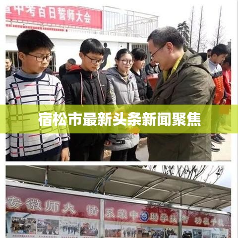 宿松市最新头条新闻聚焦