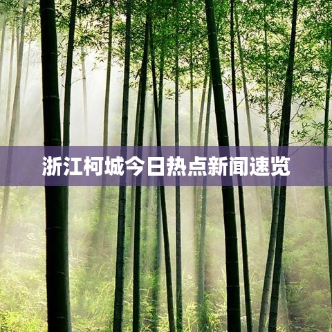 浙江柯城今日热点新闻速览