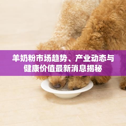羊奶粉市场趋势、产业动态与健康价值最新消息揭秘