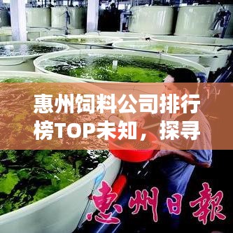 惠州饲料公司排行榜TOP未知，探寻行业领军者