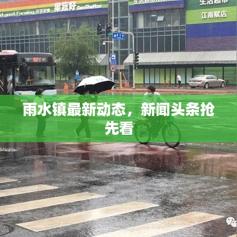 雨水镇最新动态，新闻头条抢先看