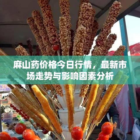 麻山药价格今日行情，最新市场走势与影响因素分析