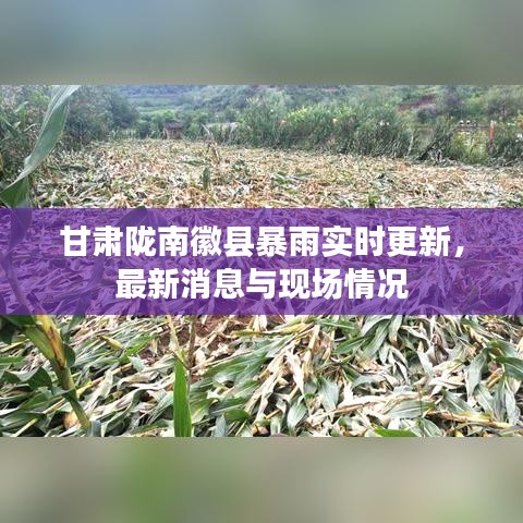 甘肃陇南徽县暴雨实时更新，最新消息与现场情况