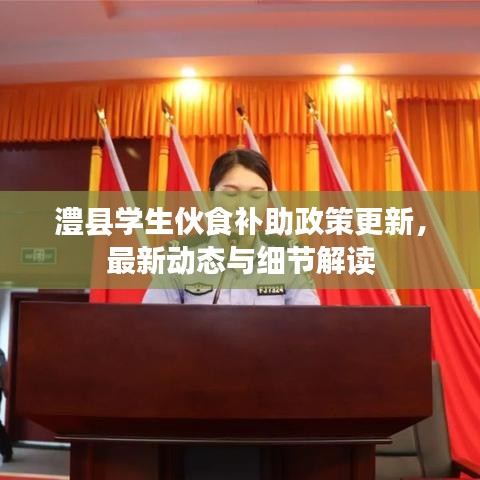 澧县学生伙食补助政策更新，最新动态与细节解读