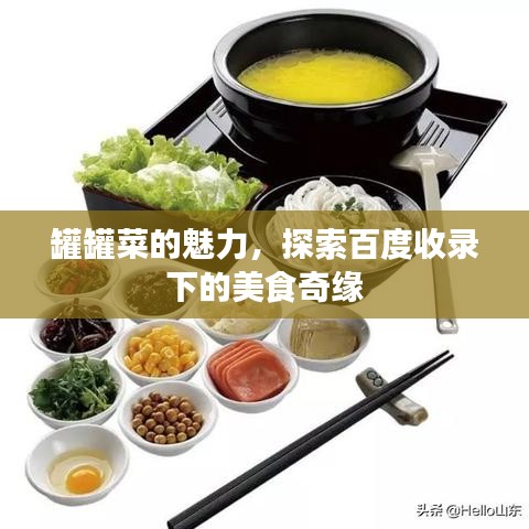 罐罐菜的魅力，探索百度收录下的美食奇缘
