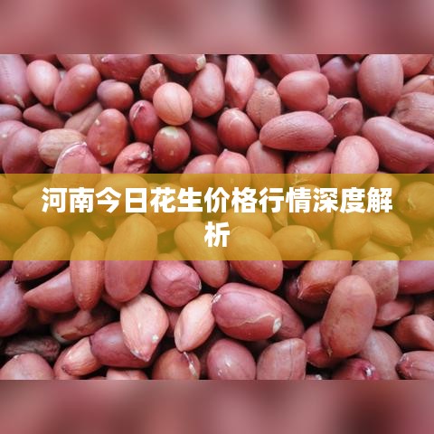 河南今日花生价格行情深度解析