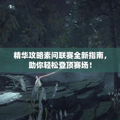 精华攻略素问联赛全新指南，助你轻松登顶赛场！