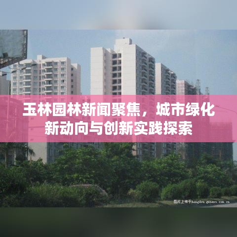 玉林园林新闻聚焦，城市绿化新动向与创新实践探索