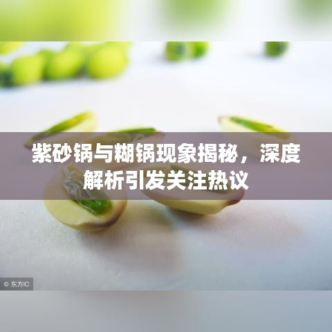 紫砂锅与糊锅现象揭秘，深度解析引发关注热议