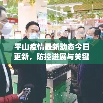 平山疫情最新动态今日更新，防控进展与关键信息一网打尽！