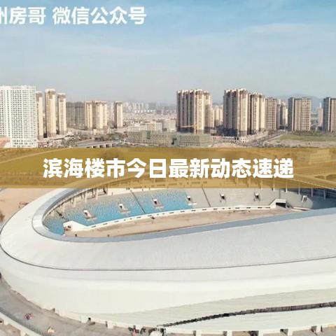 滨海楼市今日最新动态速递