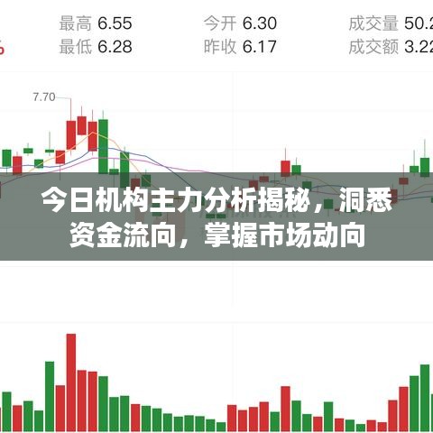 今日机构主力分析揭秘，洞悉资金流向，掌握市场动向