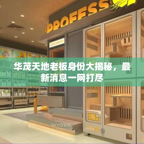 华茂天地老板身份大揭秘，最新消息一网打尽