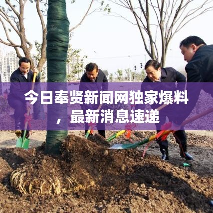 今日奉贤新闻网独家爆料，最新消息速递