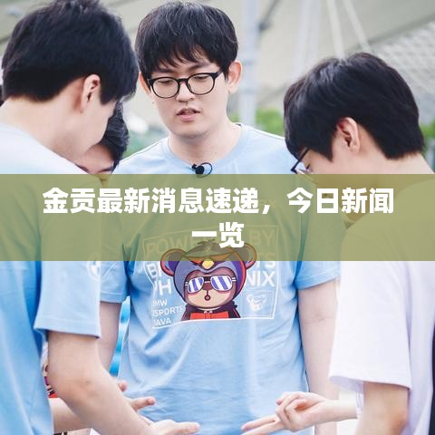 金贡最新消息速递，今日新闻一览