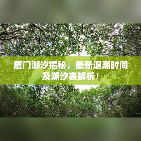 厦门潮汐揭秘，最新退潮时间及潮汐表解析！