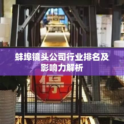 蚌埠镜头公司行业排名及影响力解析