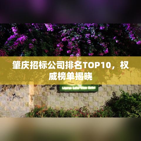 肇庆招标公司排名TOP10，权威榜单揭晓