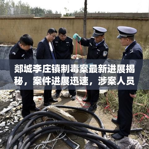 郯城李庄镇制毒案最新进展揭秘，案件进展迅速，涉案人员已受到法律制裁