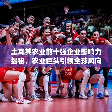 土耳其农业前十强企业影响力揭秘，农业巨头引领全球风向标