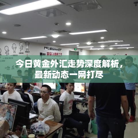 今日黄金外汇走势深度解析，最新动态一网打尽