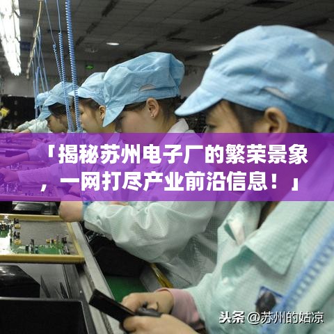 「揭秘苏州电子厂的繁荣景象，一网打尽产业前沿信息！」
