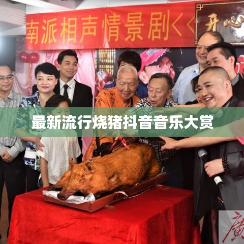 最新流行烧猪抖音音乐大赏
