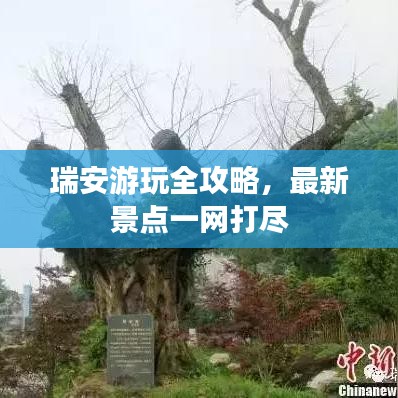 瑞安游玩全攻略，最新景点一网打尽