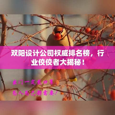 双阳设计公司权威排名榜，行业佼佼者大揭秘！
