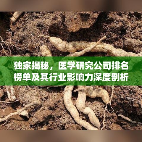 独家揭秘，医学研究公司排名榜单及其行业影响力深度剖析