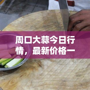 周口大蒜今日行情，最新价格一网打尽