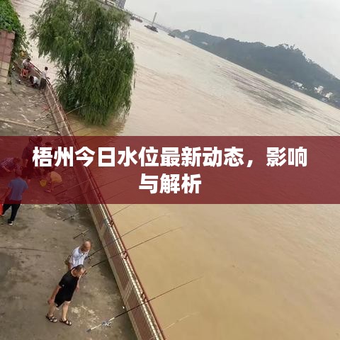 梧州今日水位最新动态，影响与解析