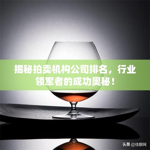 揭秘拍卖机构公司排名，行业领军者的成功奥秘！