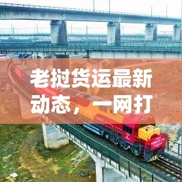 老挝货运最新动态，一网打尽新闻头条，必备资讯网址揭秘