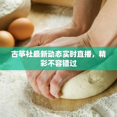 古筝社最新动态实时直播，精彩不容错过