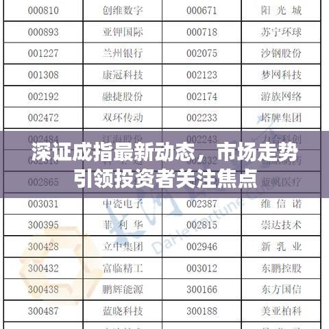 深证成指最新动态，市场走势引领投资者关注焦点