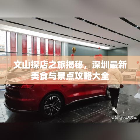 文山探店之旅揭秘，深圳最新美食与景点攻略大全