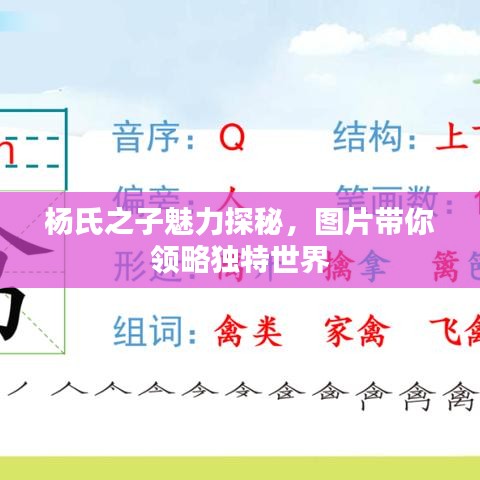 杨氏之子魅力探秘，图片带你领略独特世界