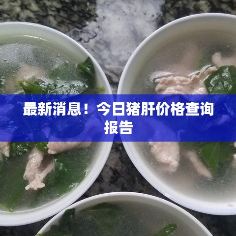最新消息！今日猪肝价格查询报告