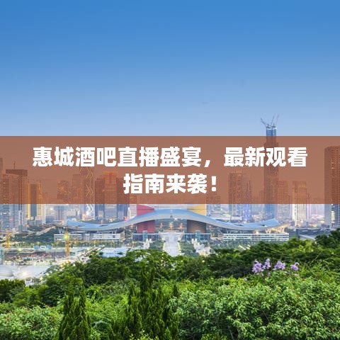 惠城酒吧直播盛宴，最新观看指南来袭！