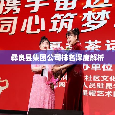 彝良县集团公司排名深度解析