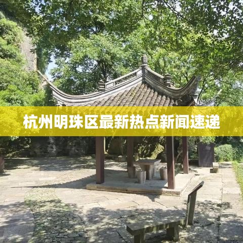 杭州明珠区最新热点新闻速递